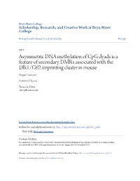 Asymmetric DNA Methylation of Cpg Dyads Is a Feature of Secondary Dmrs Associated with the Dlk1/Gtl2 Imprinting Cluster in Mouse Megan Guntrum