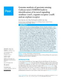 Genome Analysis of Quorum Sensing Cedecea Neteri SSMD04 Leads to Identification of Its Novel Signaling Synthase (Cnei), Cognate Receptor (Cner) and an Orphan Receptor