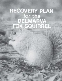 HISTORICAL and PRESENT RANGE of the DELMARVA FOX SQUIRREL