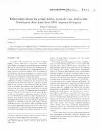 Relationships Among the Genera Ashbya, Eremothecium, Holleya and Nematospora Determined from Rdna Sequence Divergence