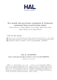 Tree Growth and Macrofauna Colonization in Technosols Constructed from Recycled Urban Wastes