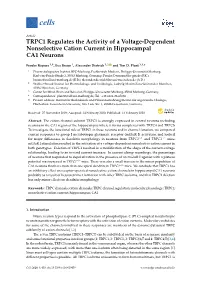 TRPC1 Regulates the Activity of a Voltage-Dependent Nonselective Cation Current in Hippocampal CA1 Neurons