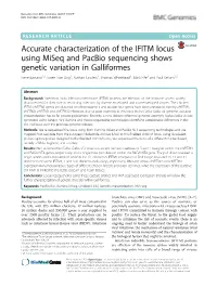 Accurate Characterization of the IFITM Locus Using Miseq and Pacbio Sequencing Shows Genetic Variation in Galliformes