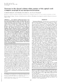 Neurons in the Dorsal Column White Matter of the Spinal Cord: Complex Neuropil in an Unexpected Location