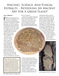 Spalting, Science, and Fungal Extracts – Retooling an Ancient Art for a Green Planet
