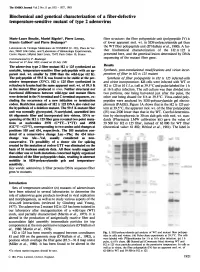 Biochemical and Genetical Characterization of a Fiber-Defective Temperature-Sensitive Mutant of Type 2 Adenovirus