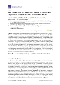 The Potential of Seaweeds As a Source of Functional Ingredients of Prebiotic and Antioxidant Value