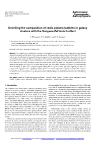Unveiling the Composition of Radio Plasma Bubbles in Galaxy Clusters with the Sunyaev-Zel’Dovich Effect