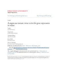 A Sugarcane Mosaic Virus Vector for Gene Expression in Maize Yu Mei Iowa State University