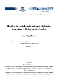 Identification and Characterization of E3 Ubiquitin Ligases Involved in Jasmonate Signalling