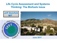 Life Cycle Assessment and Systems Thinking: the Biofuels Issue