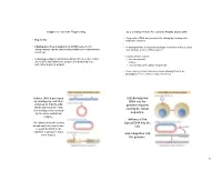 Introducing New DNA Into the Genome Requires Cloning the Donor