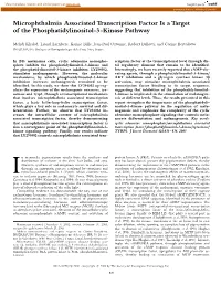 Microphthalmia Associated Transcription Factor Is a Target of the Phosphatidylinositol-3-Kinase Pathway