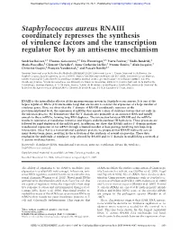 Staphylococcus Aureus RNAIII Coordinately Represses the Synthesis of Virulence Factors and the Transcription Regulator Rot by an Antisense Mechanism