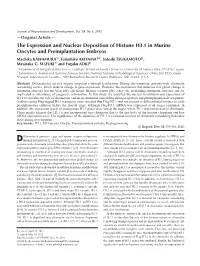 The Expression and Nuclear Deposition of Histone H3.1 In