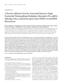 A Heroin Addiction Severity-Associated Intronic Single