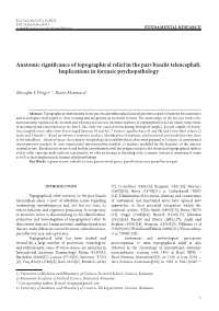 Anatomic Significance of Topographical Relief in the Pars Basalis Telencephali