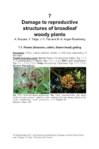 Field Guide for the Identification of Damage on Woody Sentinel Plants (Eds A