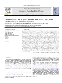 Plankton Dynamics Due to Rainfall, Eutrophication, Dilution, Grazing and Assimilation in an Urbanized Coastal Lagoon
