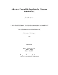 Advanced Control Methodology for Biomass Combustion