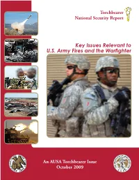 Key Issues Relevant to U.S. Army Fires and the Warfighter