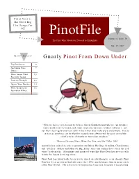Pinotfile Volume 6, Issue 30 the First Wine Newsletter Devoted to Pinotphiles