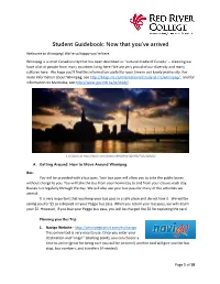 Student Guidebook: Now That You've Arrived