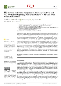 Abstracts of Publications – Assist. Prof. Kiril Mishev