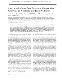 Human and Mouse Gene Structure: Comparative Analysis and Application to Exon Prediction