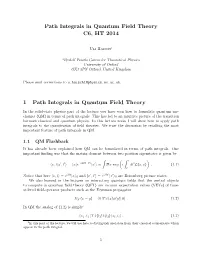 Path Integrals in Quantum Field Theory C6, HT 2014