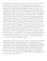 Supplemental Figure 1. Egr2 and Hoxb1 Are Expressed in and Delete