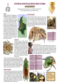 CETONIINAE and RUTELINAE BEETLES from COLOMBIA Jesus Orozco 1 and Jhon Neita 2 1