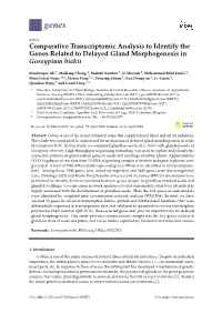 Comparative Transcriptomic Analysis to Identify the Genes Related to Delayed Gland Morphogenesis in Gossypium Bickii