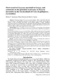 First Record of Cacyreus Marshalli in Greece, and Comments on the Potential Occurrence of Zizeeria Karsandra on the Greek Island of Crete (Lepidoptera: Lycaenidae)