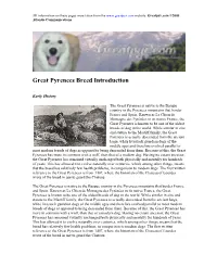 Great Pyrenees Breed Introduction