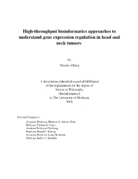 High-Throughput Bioinformatics Approaches to Understand Gene Expression Regulation in Head and Neck Tumors