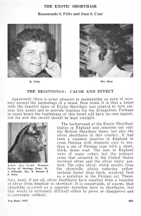 Apparently There Is Great Pleasure in Maintaining an Aura of Mys- Tery Around the Beginnings of a Breed