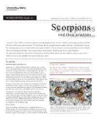 Homeowner Guide to Scorpions and Their Relatives