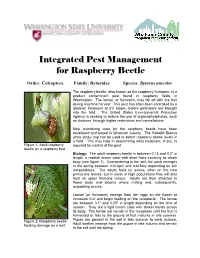 Integrated Pest Management for Raspberry Beetle