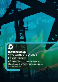 Who Owns the World's Fossil Fuels?