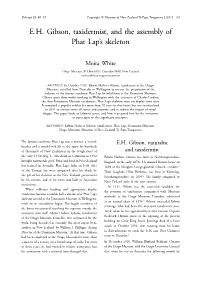E.H. Gibson, Taxidermist, and the Assembly of Phar Lap's Skeleton
