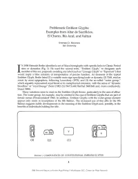 Problematic Emblem Glyphs: Examples from Altar De Sacrificios, EI Chorro, Rio Azul, and Xultun