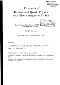 Prospects of Hadron and Quark Physics with Electromagnetic Probes
