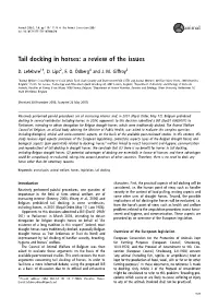 Tail Docking in Horses: a Review of the Issues