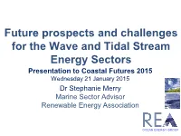 The Role of Renewables