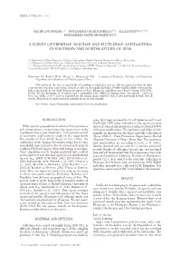 Download This PDF File