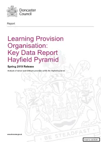 Key Data Report Hayfield Pyramid Spring 2019 Release