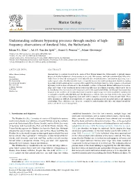 Understanding Sediment Bypassing Processes Through Analysis of High- Frequency Observations of Ameland Inlet, the Netherlands T ⁎ Edwin P.L