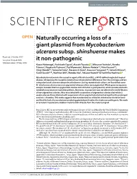 Naturally Occurring a Loss of a Giant Plasmid from Mycobacterium Ulcerans Subsp