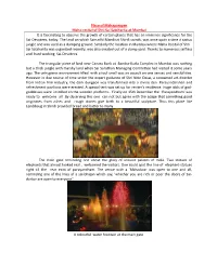 Place of Mahaparayan Maha-Recital of Shri-Sai Satcharita at Mumbai It Is Fascinating to Observe the Growth of Certain Places
